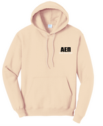 Wisco AEPI Formal Chicago Bean Hoodie