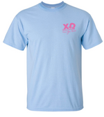 Chi Omega Throw What You Know 2025 Tee